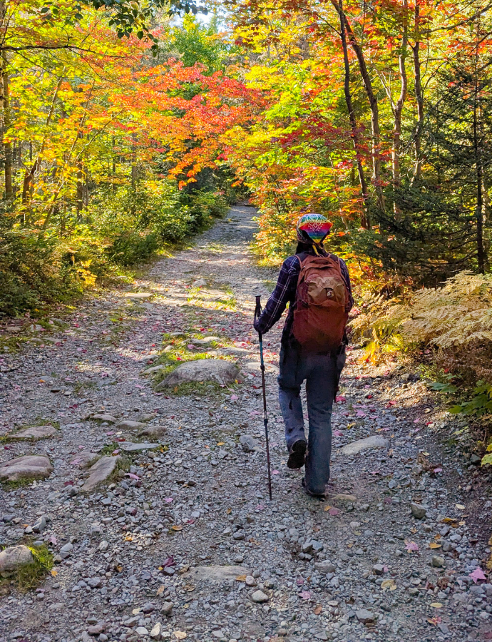 Femme qui marche dans un sentier avec un bâton de marche à l'automne3